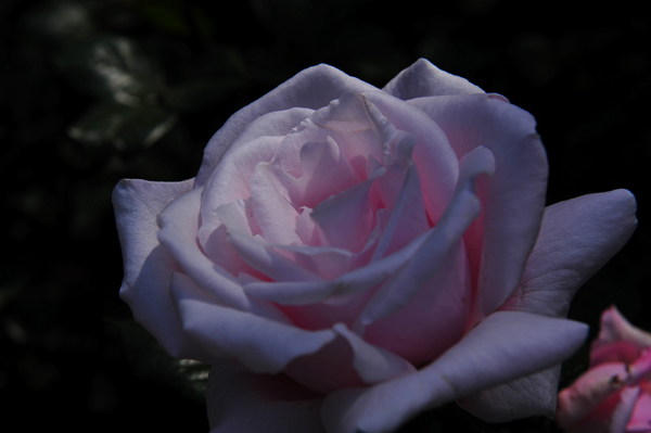 130508 7 DSC_9737.jpg